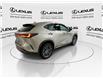 2022 Lexus NX 350h  (Stk: 14112637A) in Markham - Image 8 of 24