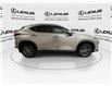 2022 Lexus NX 350h  (Stk: 14112637A) in Markham - Image 9 of 24