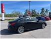 2024 Honda Civic EX (Stk: 26P044) in Kingston - Image 11 of 24