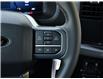 2026 Ford F-150 XLT (Stk: F62497) in GEORGETOWN - Image 23 of 25