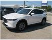 2023 Mazda CX-5 GS (Stk: 00775) in Stratford - Image 4 of 28