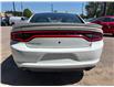 2020 Dodge Charger R/T (Stk: P537) in Pembroke - Image 4 of 16