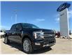 2026 Ford F-150 Platinum (Stk: T86575) in Hague - Image 2 of 14