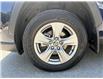 2025 Toyota RAV4 Hybrid XLE (Stk: 10121059A) in Markham - Image 10 of 32