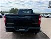 2022 Chevrolet Silverado 2500HD Custom (Stk: 24769) in Pembroke - Image 15 of 28
