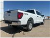 2026 Ford F-150 XL (Stk: T24360) in Hague - Image 8 of 14