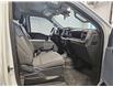 2024 Ford F-150 XL (Stk: D18419) in Lower Sackville - Image 8 of 9