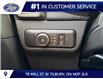 2026 Ford Bronco Sport Outer Banks (Stk: LFBS01846) in Tilbury - Image 9 of 14