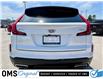2024 Cadillac XT4 Premium Luxury (Stk: 2-13638) in Oshawa - Image 5 of 50