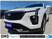 2024 Cadillac XT4 Premium Luxury (Stk: 2-13638) in Oshawa - Image 11 of 50