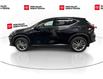 2024 Lexus NX 350 Base (Stk: 10U6678) in Markham - Image 5 of 33