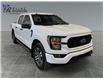2023 Ford F-150 XL (Stk: C4907) in ROSETOWN - Image 1 of 17