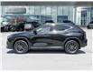 2024 Lexus NX 350h  (Stk: 15105841A) in Richmond Hill - Image 4 of 25