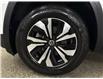 2025 Volkswagen Atlas 2.0 TSI Comfortline (Stk: 44077J) in Belleville - Image 24 of 24
