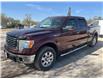 2010 Ford F-150  (Stk: 26P022A) in Wadena - Image 2 of 14