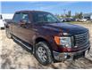 2010 Ford F-150  (Stk: 26P022A) in Wadena - Image 4 of 14