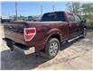 2010 Ford F-150  (Stk: 26P022A) in Wadena - Image 6 of 14
