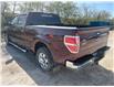 2010 Ford F-150  (Stk: 26P022A) in Wadena - Image 8 of 14
