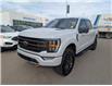 2023 Ford F-150 Tremor (Stk: T-1698A) in Calgary - Image 1 of 25
