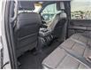 2023 Ford F-150 Tremor (Stk: T-1698A) in Calgary - Image 3 of 25