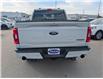 2023 Ford F-150 Tremor (Stk: T-1698A) in Calgary - Image 6 of 25