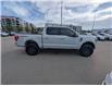 2023 Ford F-150 Tremor (Stk: T-1698A) in Calgary - Image 8 of 25