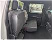 2023 Ford F-150 Tremor (Stk: T-1698A) in Calgary - Image 16 of 25