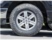 2021 Ford F-150 XLT (Stk: P1069) in Mississauga - Image 6 of 26