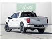 2024 Ford F-150 XLT (Stk: 26F8698A) in Mississauga - Image 9 of 28