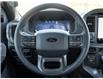 2024 Ford F-150 XLT (Stk: 26F8698A) in Mississauga - Image 13 of 28