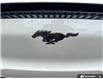2026 Ford Mustang Mach-E Select (Stk: 0E6218) in Kamloops - Image 9 of 25