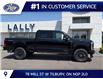 2026 Ford F-250 Platinum (Stk: LFFF01924) in Tilbury - Image 2 of 15