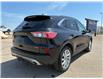 2021 Ford Escape Titanium Hybrid (Stk: U73536) in Hague - Image 8 of 14
