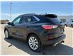 2021 Ford Escape Titanium Hybrid (Stk: U73536) in Hague - Image 6 of 14