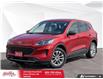 2022 Ford Escape SE (Stk: 62614) in Essex-Windsor - Image 1 of 32