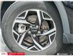 2024 Kia Sportage LX (Stk: 62618) in Essex-Windsor - Image 8 of 30