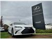 2025 Lexus ES 300h Base (Stk: 250250) in Calgary - Image 3 of 23