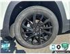 2024 GMC Terrain SLT (Stk: U-3050) in Tillsonburg - Image 6 of 25 2024 GMC Terrain SLT (Stk: U-3050) in Tillsonburg - Image 6 of 25