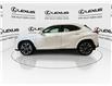 2025 Lexus UX 300h Base (Stk: 14112526A) in Markham - Image 5 of 26