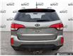 2014 Kia Sorento  (Stk: U-3039AZ) in Tillsonburg - Image 5 of 23