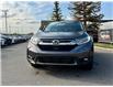 2019 Honda CR-V EX-L (Stk: 260846A) in Calgary - Image 4 of 17