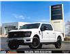 2025 Ford F-150 XLT (Stk: PR29827A) in Windsor - Image 1 of 23