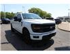 2025 Ford F-150 XLT (Stk: PR29827A) in Windsor - Image 7 of 23