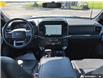 2023 Ford F-150 XLT (Stk: MFLFH424A) in Sault Ste. Marie - Image 24 of 25