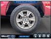 2016 Ford F-150  (Stk: 26P058A) in Kentville - Image 6 of 8