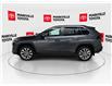 2023 Toyota RAV4 XLE (Stk: 11U4501) in Markham - Image 6 of 28