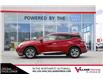 2015 Nissan Murano SL (Stk: BF9126) in Calgary - Image 5 of 29