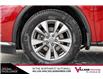 2015 Nissan Murano SL (Stk: BF9126) in Calgary - Image 6 of 29