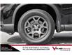 2025 Honda Pilot TrailSport (Stk: HR0798A) in Calgary - Image 6 of 33