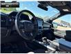 2022 Ford F-150 Tremor (Stk: 6F37246A) in Brantford - Image 11 of 23